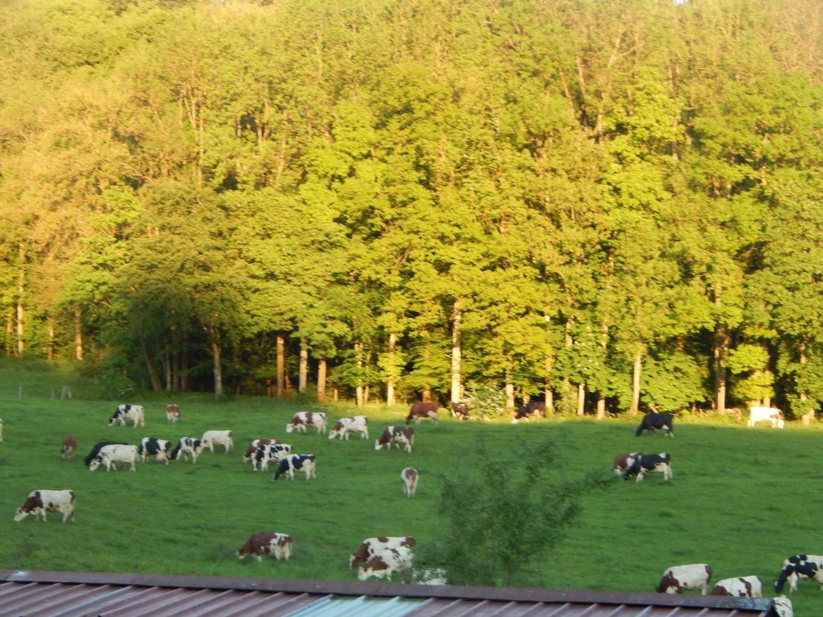 A La Source Du Saolon Bed & Breakfast Culmont Екстериор снимка